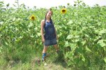 Sunflower Field