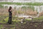 Swamp on the Lk. Dojran